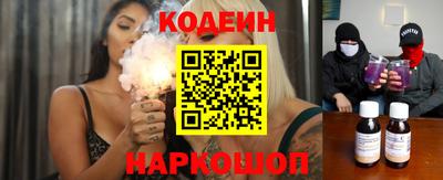 мдпв Кингисепп