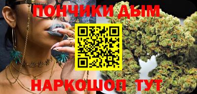 мдпв Кингисепп