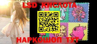 стаф Кинель