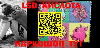 стаф Кинель