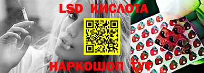 мдпв Кингисепп