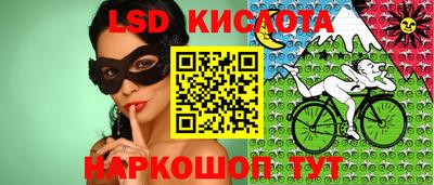 мдпв Кингисепп