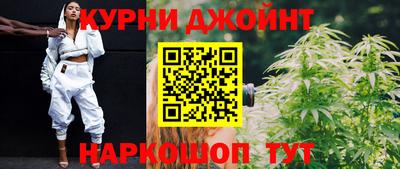 мдпв Кингисепп