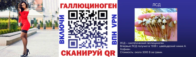 KRAKEN ССЫЛКА  Гусь-Хрустальный  Галлюциногенные грибы Psilocybine cubensis  купить наркотик 
