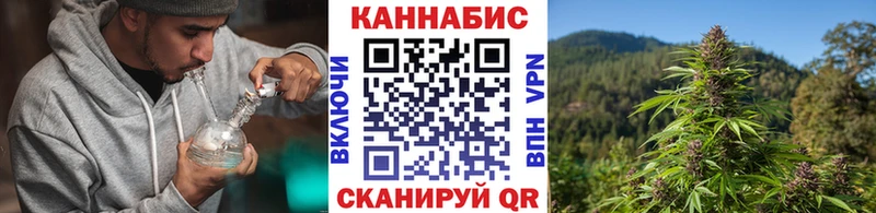 Бошки марихуана White Widow  Гусь-Хрустальный 